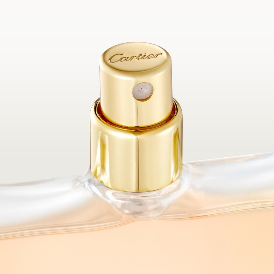 les nécessaires à parfum refills la panthère