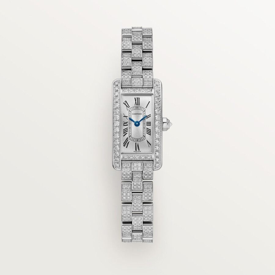 tank américaine watch