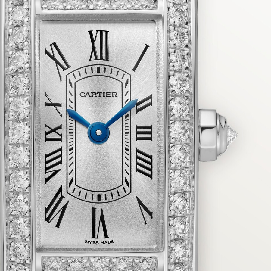 tank américaine watch