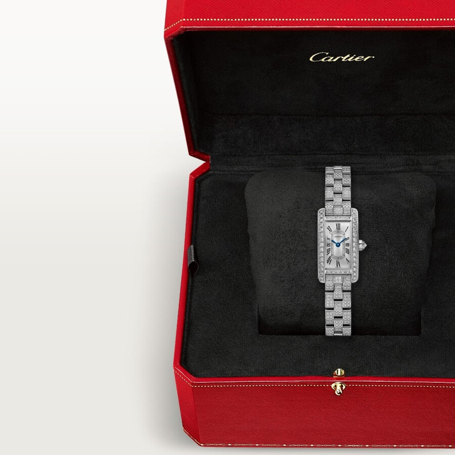 tank américaine watch