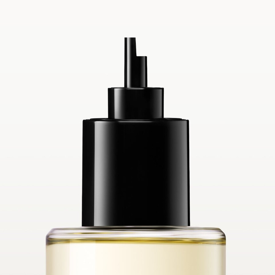 pasha de cartier edition noire sport refill