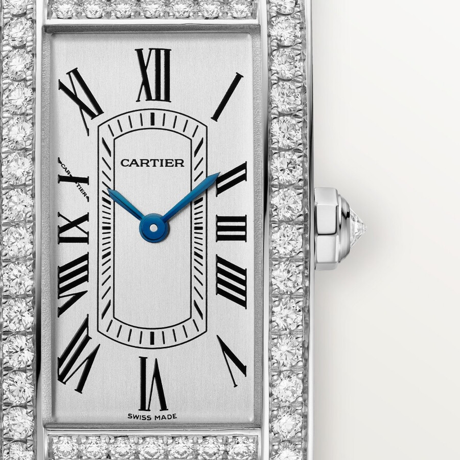 tank américaine watch