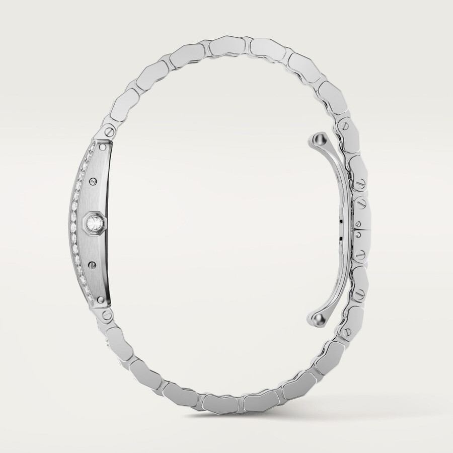 tank américaine watch
