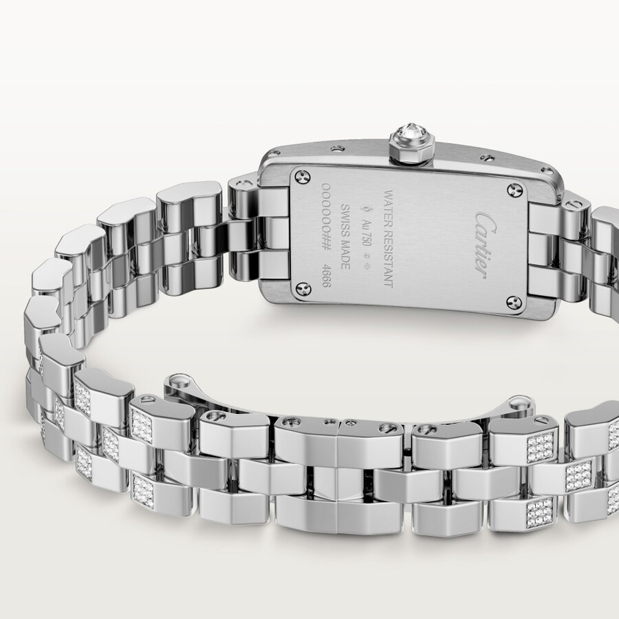 tank américaine watch