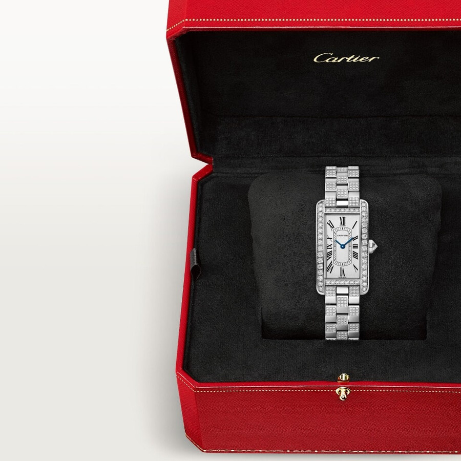 tank américaine watch
