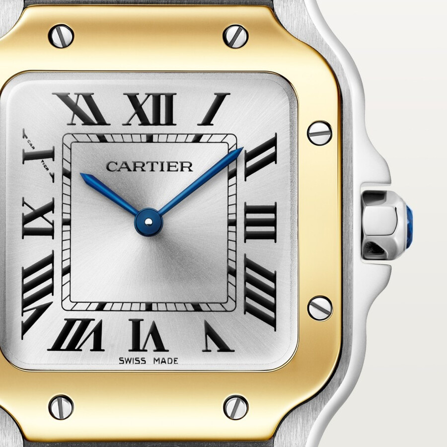 santos de cartier watch