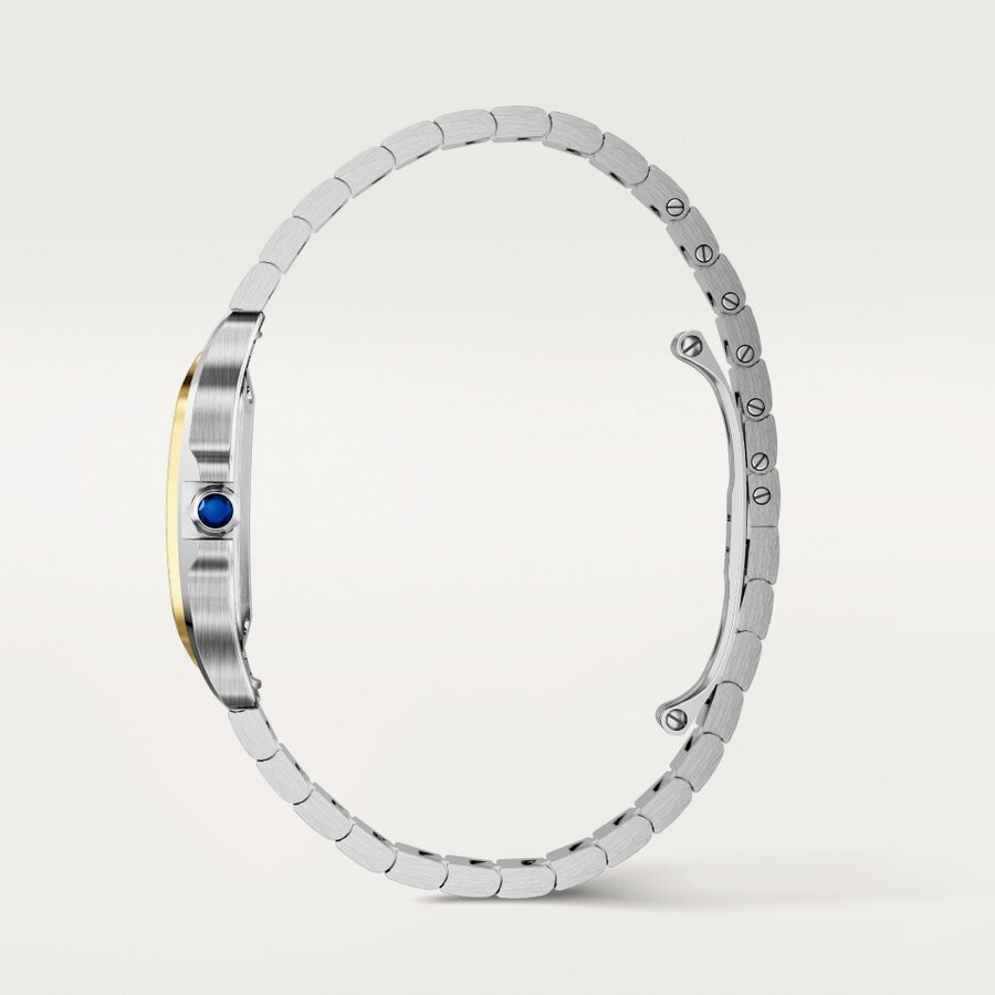 santos de cartier watch