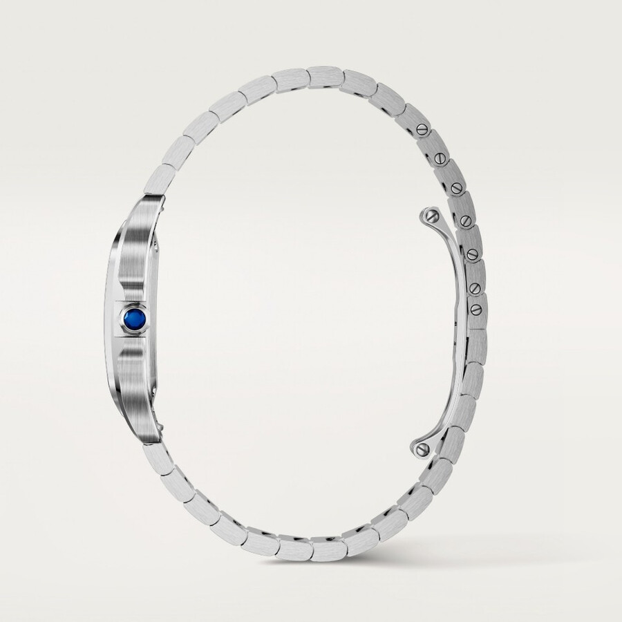 santos de cartier watch