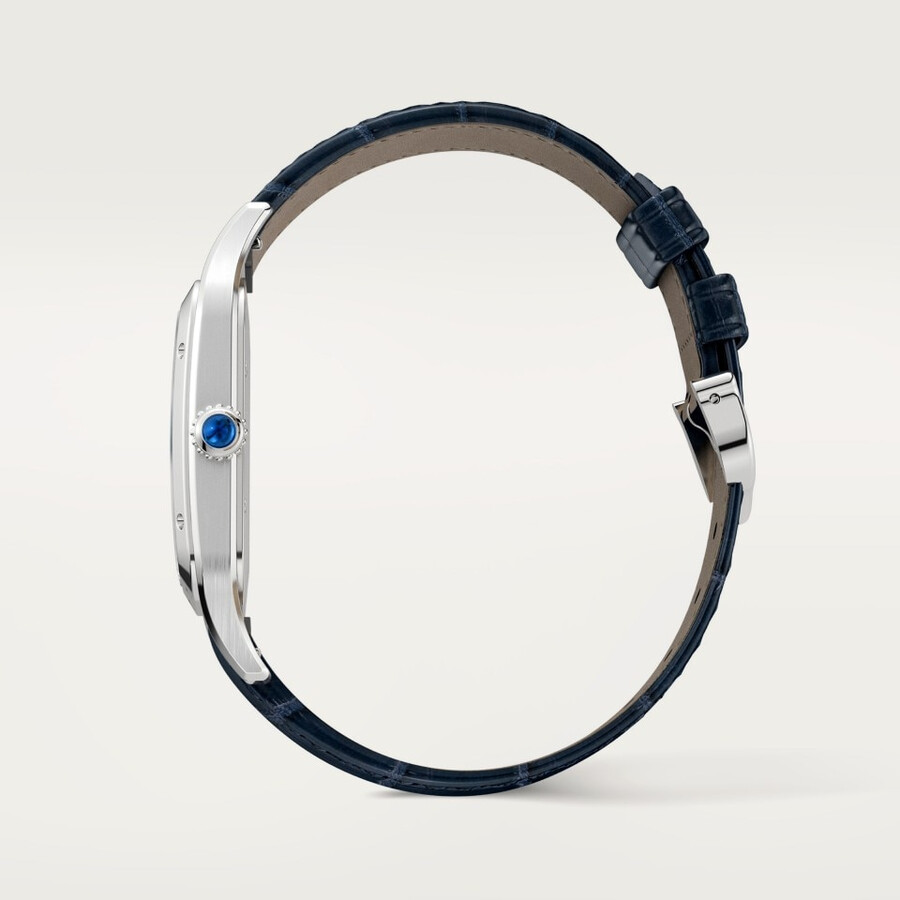 santos-dumont watch