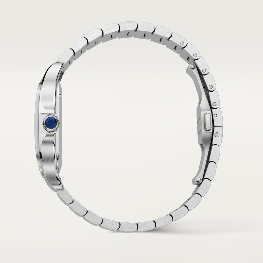 santos de cartier watch
